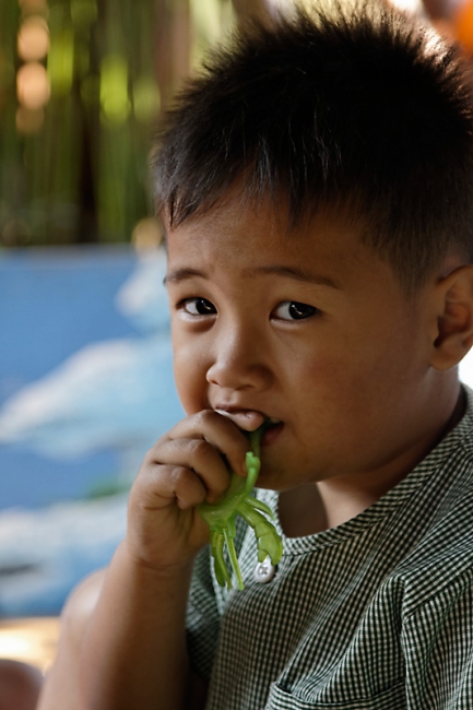 Famille et amis FEV12-061